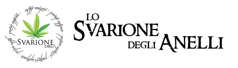 Lo Svarione degli Anelli